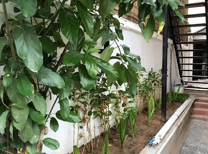 Kan Siemreap 3* 暹粒